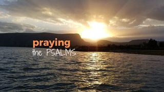 Praying the Psalms Genesis 6:14-16 New International Version