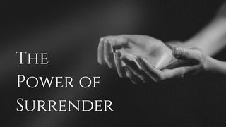 The Power Of Surrender – David Shearman Proverbs 3:1-10 Amplified Bible