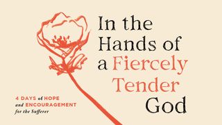 In the Hands of a Fiercely Tender God - 4 Days of Hope and Encouragement for the Sufferer Lamentations 3:22 New King James Version