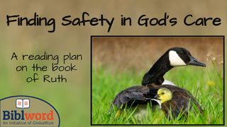 Finding Safety in God's Care, the Story of Ruth Psalms 146:6-9 American Standard Version