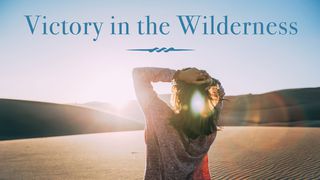 Victory In The Wilderness - Helen Roberts Luke 12:22-24 The Message
