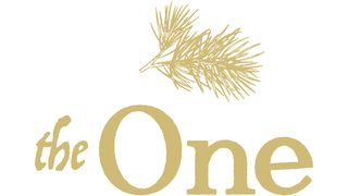 The One: Advent Micah 7:7 The Message