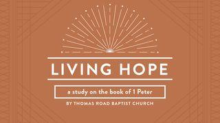Living Hope: A Study in 1 Peter 1 Peter 2:21 American Standard Version
