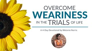 Overcome Weariness in the Trials of Life a 4-Day Devotional by Melanie Norris ROMEINE 12:18 Afrikaans 1983