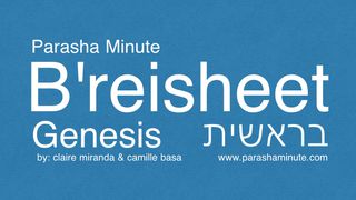Parasha Minute: Genesis / Breisheet Genesis 6:1-22 The Message