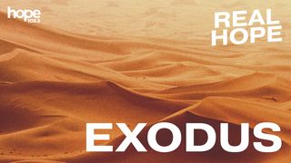 Real Hope: A Study in Exodus Exodus 40:34 New Century Version