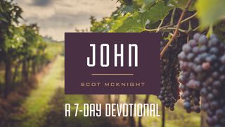 The Gospel of John John 4:43-54 New International Version