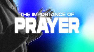 The Importance of Prayer Luke 11:1-13 New King James Version
