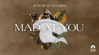 [Wisdom of Solomon] Mad at You Song of Songs 5:2-9 New International Version