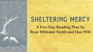 Sheltering Mercy by Ryan Whitaker Smith and Dan Wilt Psalms 5:1-12 The Message