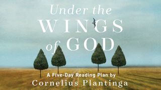 Under the Wings of God by Cornelius Plantinga 1 Corinthians 2:10-11 New Living Translation