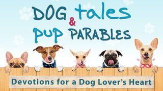Dog Tales & Pup Parables John 10:4-5 Amplified Bible