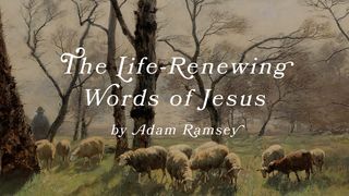 The Life-Renewing Words of Jesus by Adam Ramsey John 3:1 New International Version