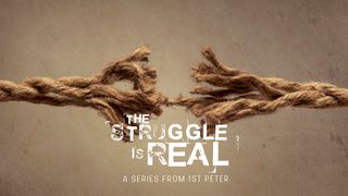 The Struggle Is Real 1 Peter 3:21-22 New International Version