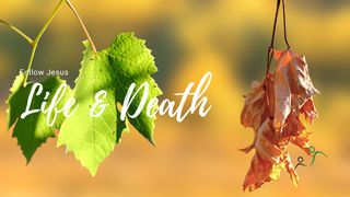 Discipleship & Life and Death John 15:19 New International Version
