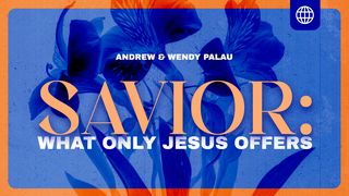 Savior: What Only Jesus Offers John 12:8 New International Version (Anglicised)