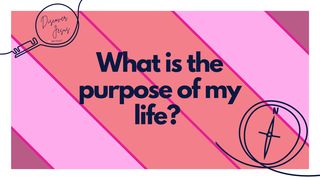 What Is the Purpose of My Life? Genesis 1:26-28 The Message