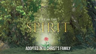 Life in the Spirit: Adopted Into Christ's Family Efexus 1:13-14 Vajtswv Txojlus 2000