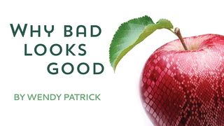 Why Bad Looks Good: Biblical Wisdom and Discernment John 7:24 New International Version