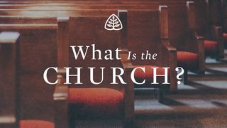 What Is the Church? Acts 15:11 New International Version