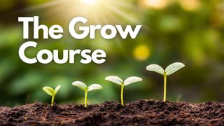 The Grow Course 2 Timothy 3:16 Amplified Bible