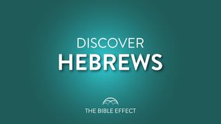 Hebrews Bible Study Exodus 19:5-8 New International Version