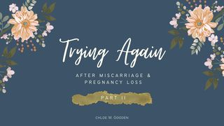 Trying Again Part II : After Miscarriage & Pregnancy Loss 1 Samuel 1:13-15 English Standard Version 2016