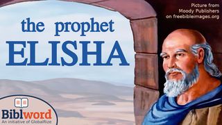 The Prophet Elisha 2 Kings 8:9 Amplified Bible