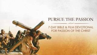 Pursue The Passion 1 Timothy 6:11-12 The Message