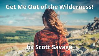 Get Me Out of the Wilderness! Matthew 3:2 New Living Translation