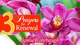3 Prayers for Renewal Psalms 23:3 New International Version