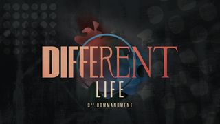 Different Life: 3rd Commandment Exodus 31:13 New International Version