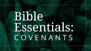 The Covenants of the Bible Genesis 6:14 New International Version