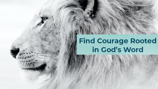 One Week Study of Philippians Using the Courage for Life Study Bible Philippians 1:28 New International Version