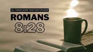Romans 8:28 ROMEINE 8:33-34 Afrikaans 1983