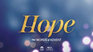 [The Words of Advent] HOPE John 1:3-4 English Standard Version 2016