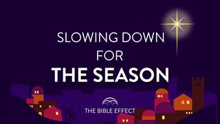 Slowing Down for the Season Luke 2:8-12 The Message