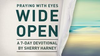 Praying With Eyes Wide Open John 17:1-26 The Message