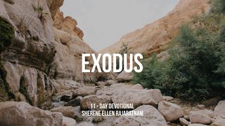 Through Exodus Exodus 40:34-35 The Message