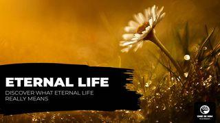 Eternal Life John 17:3 New Living Translation