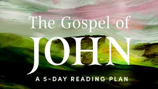 The Gospel of John: Savoring the Peace of Jesus in a Chaotic World John 3:23 King James Version