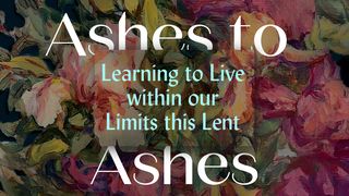 Ashes to Ashes: Learning to Live Within Our Limits This Lent Ecclesiastes 3:20 New International Version