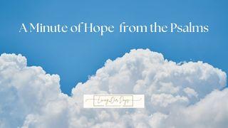 A Minute of Hope from the Psalms Psalms 25:4-5 The Message