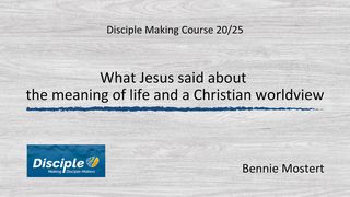 What Jesus Said About the Meaning of Life and a Christian Worldview Revelation 20:15 American Standard Version