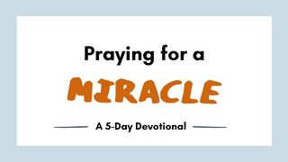 Praying for a Miracle Luke 11:1-13 The Message