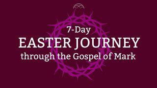 Journey to the Cross: An Easter Study From Mark’s Gospel Mark 13:24-31 The Message