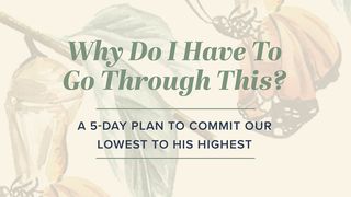 Why Do I Have to Go Through This? A 5-Day Plan to Commit Our Lowest to His Highest Genesis 22:2 New International Version