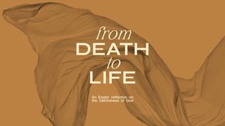 From Death to Life Matthew 28:19 New Living Translation