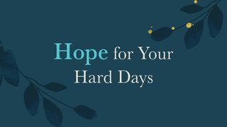 Hope for Your Hard Days Acts of the Apostles 17:24-31 New Living Translation