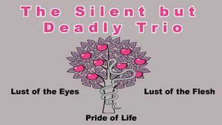 The Silent But Deadly Trio 1 John 2:15-16 New Living Translation